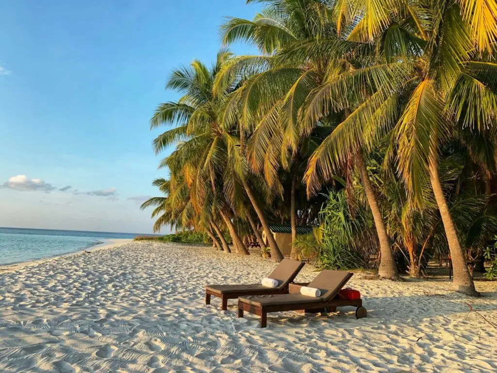 Twee ligstoelen op een strand onder palmbomen