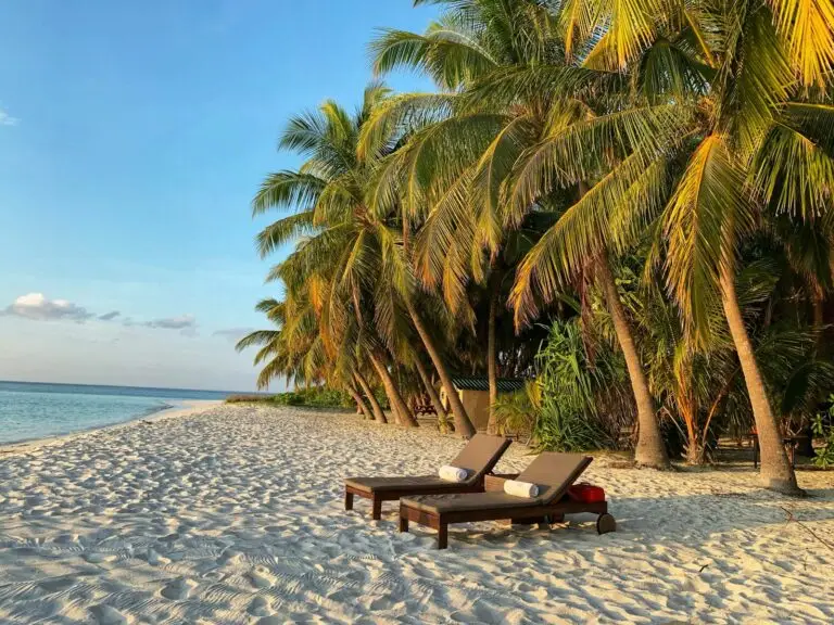 Twee ligstoelen op een strand onder palmbomen